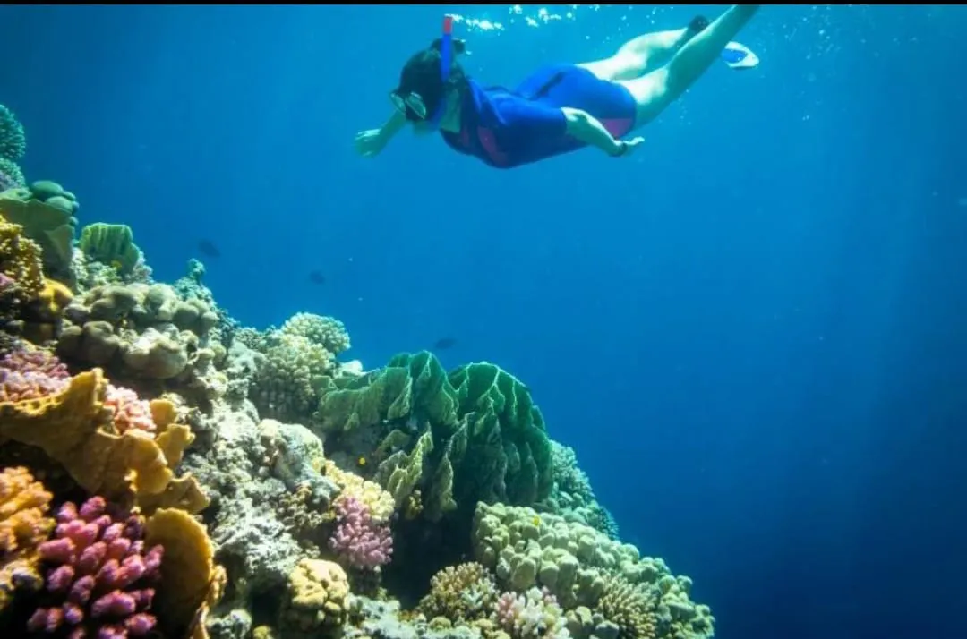🏖️🌊 Sharm El Luli & El Qulaan Tour – Marsa Alam 🐠🌴 Sharm EL Luli /IMG-20260703-WA0004.jpg
